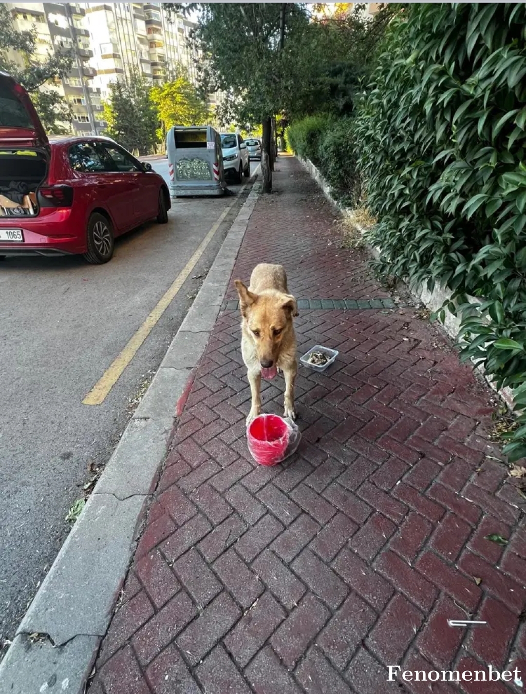 berkuludag tarafından paylaşıldı