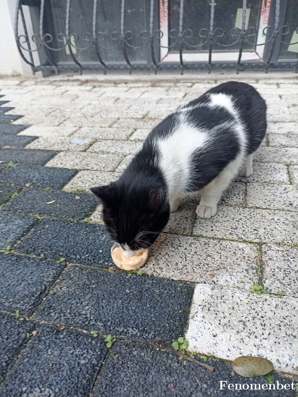 Toroldu tarafından paylaşıldı