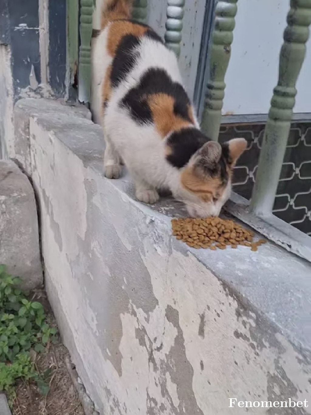 Frstrizerk tarafından paylaşıldı