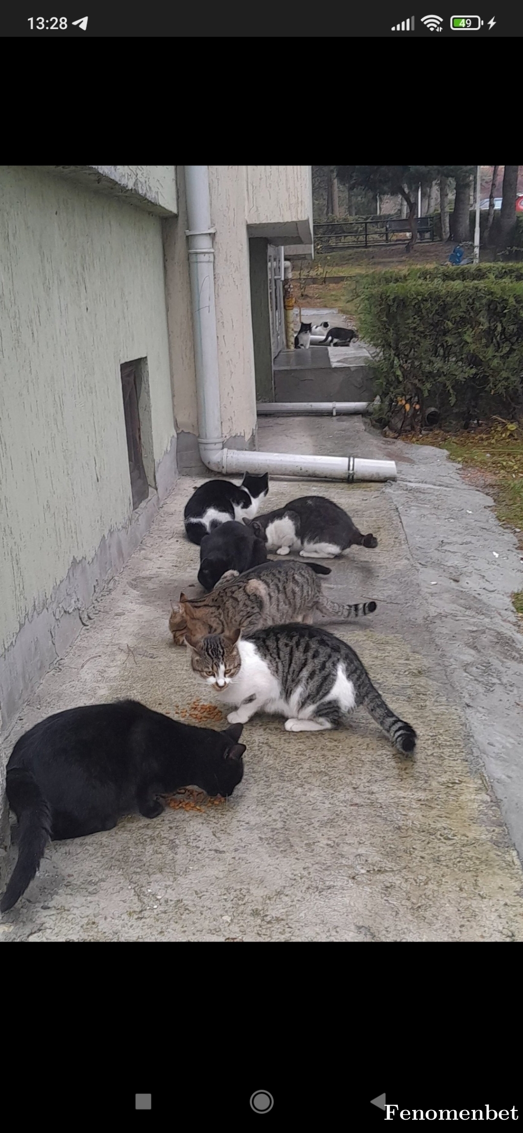 Adilben tarafından paylaşıldı