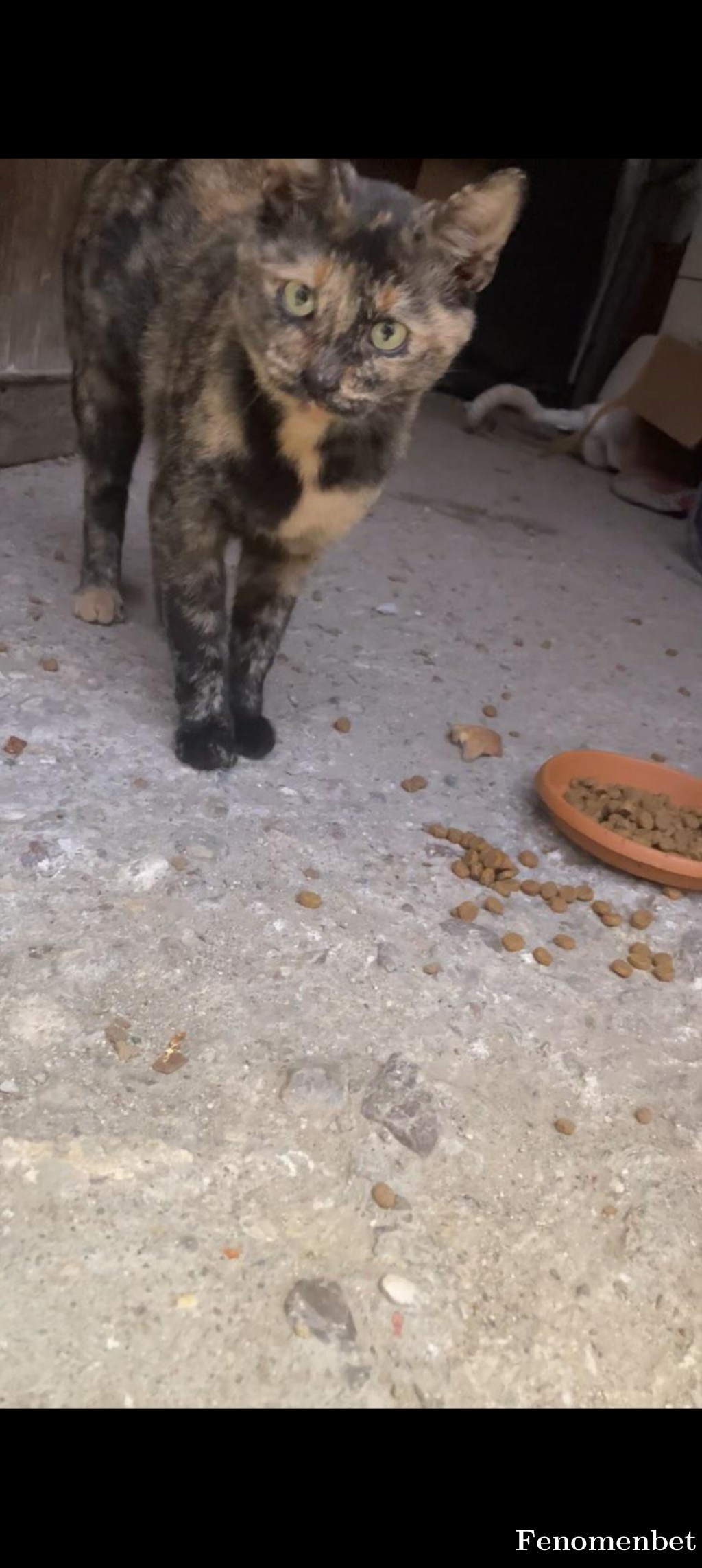 Dlbrpsgl tarafından paylaşıldı
