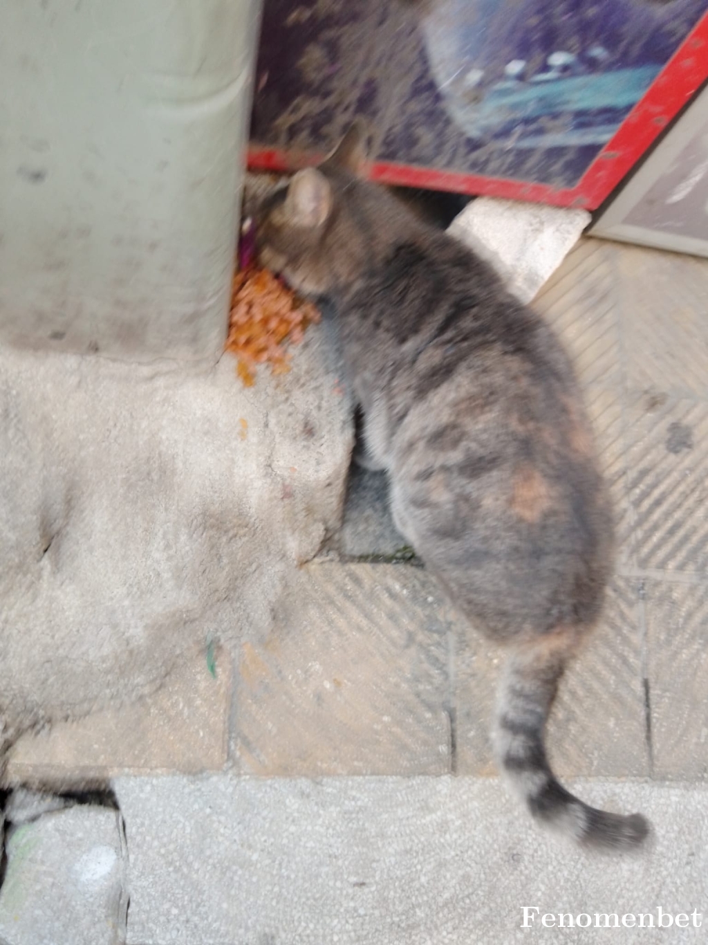 Niko26 tarafından paylaşıldı