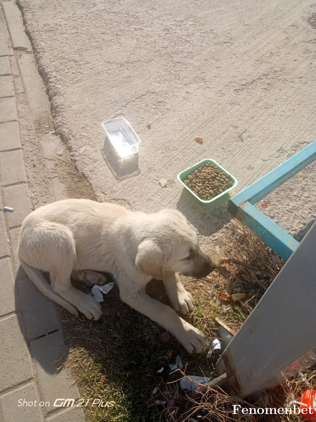 suzun06 tarafından paylaşıldı