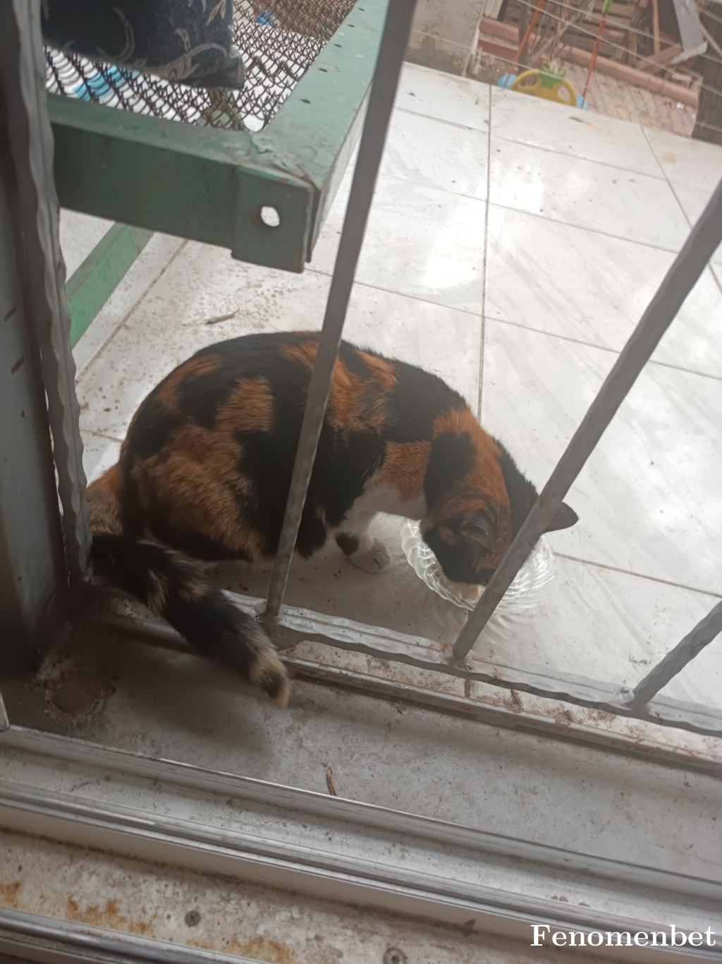 Hakankrk1 tarafından paylaşıldı