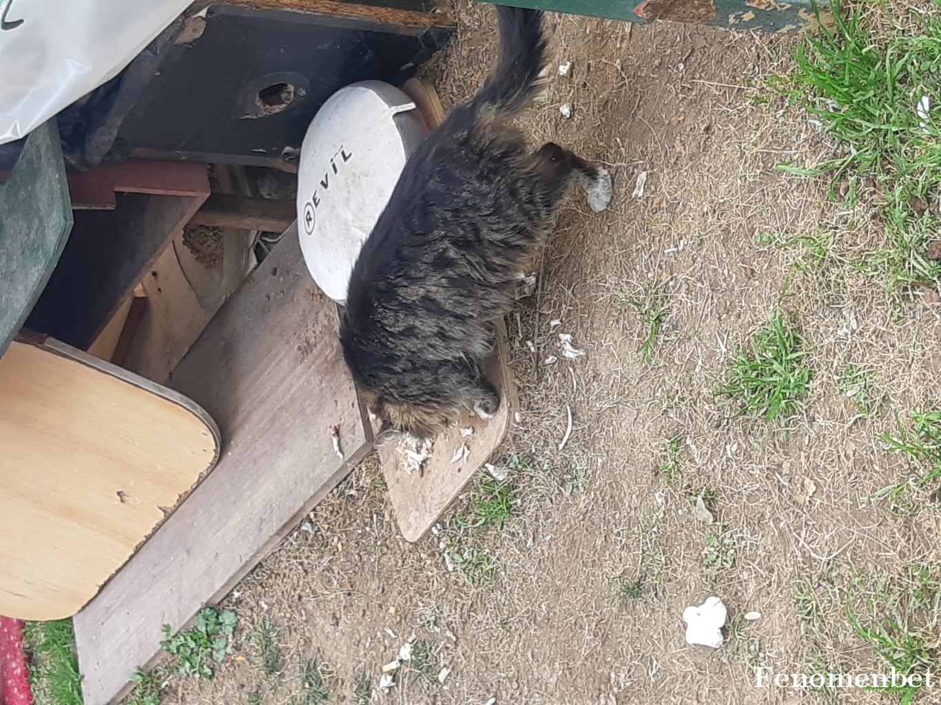 armusarmus55 tarafından paylaşıldı