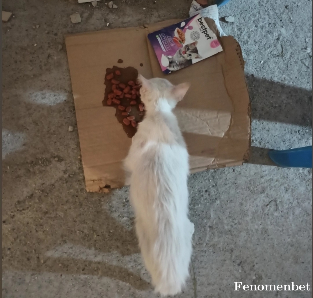 Yukogns27 tarafından paylaşıldı