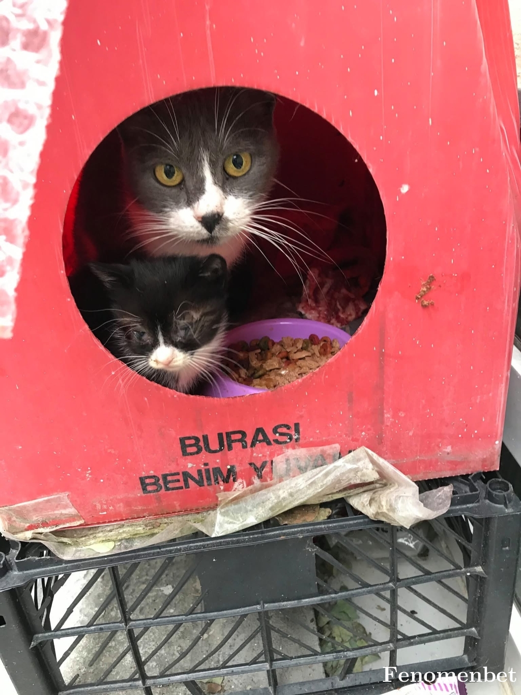 Muratcanerke tarafından paylaşıldı