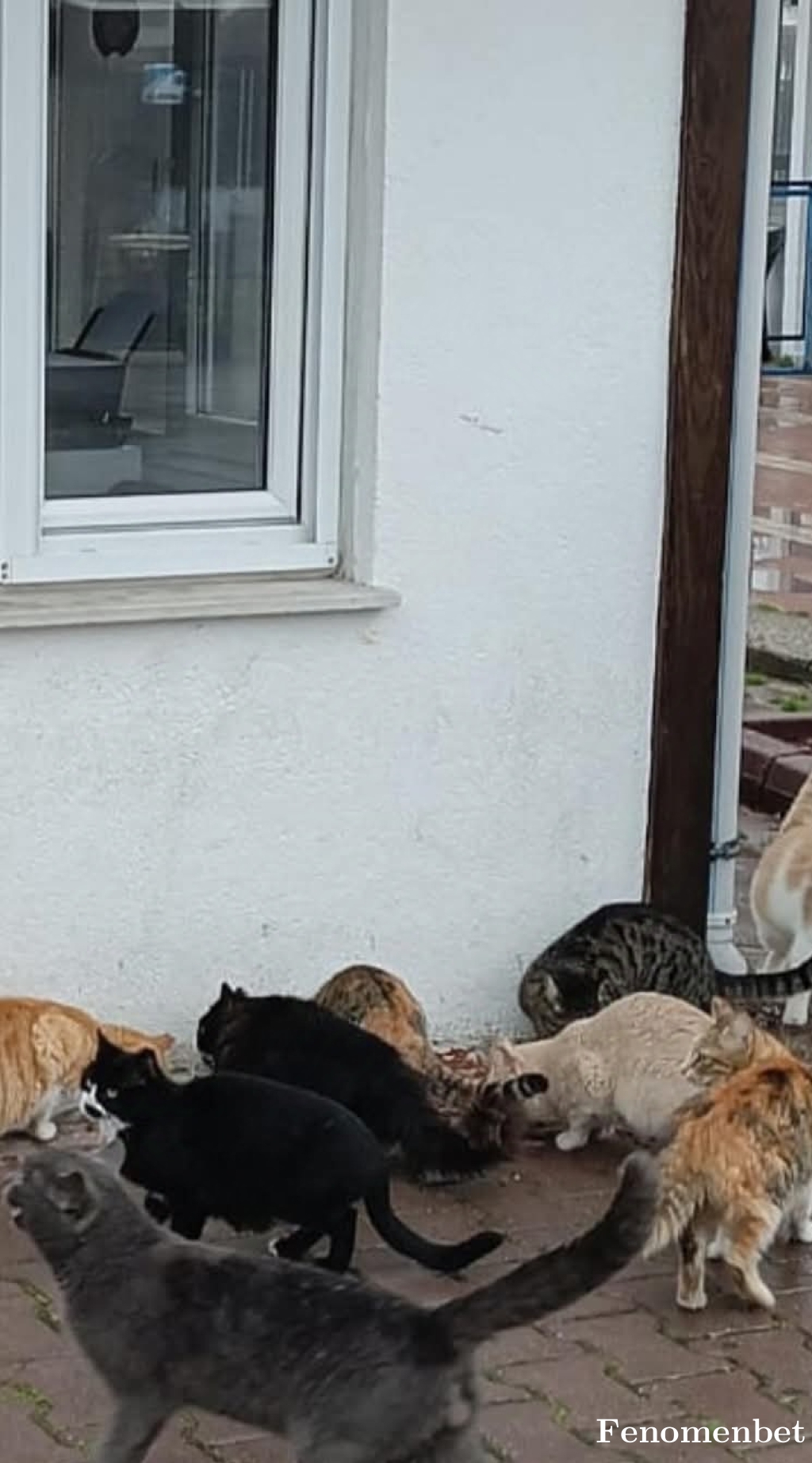 Berat2019 tarafından paylaşıldı