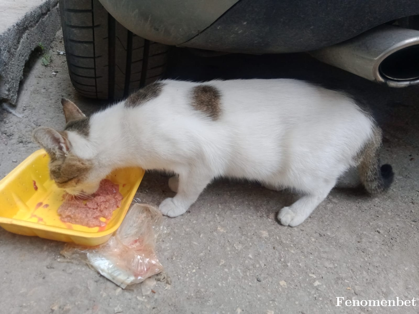 berkayutlu tarafından paylaşıldı