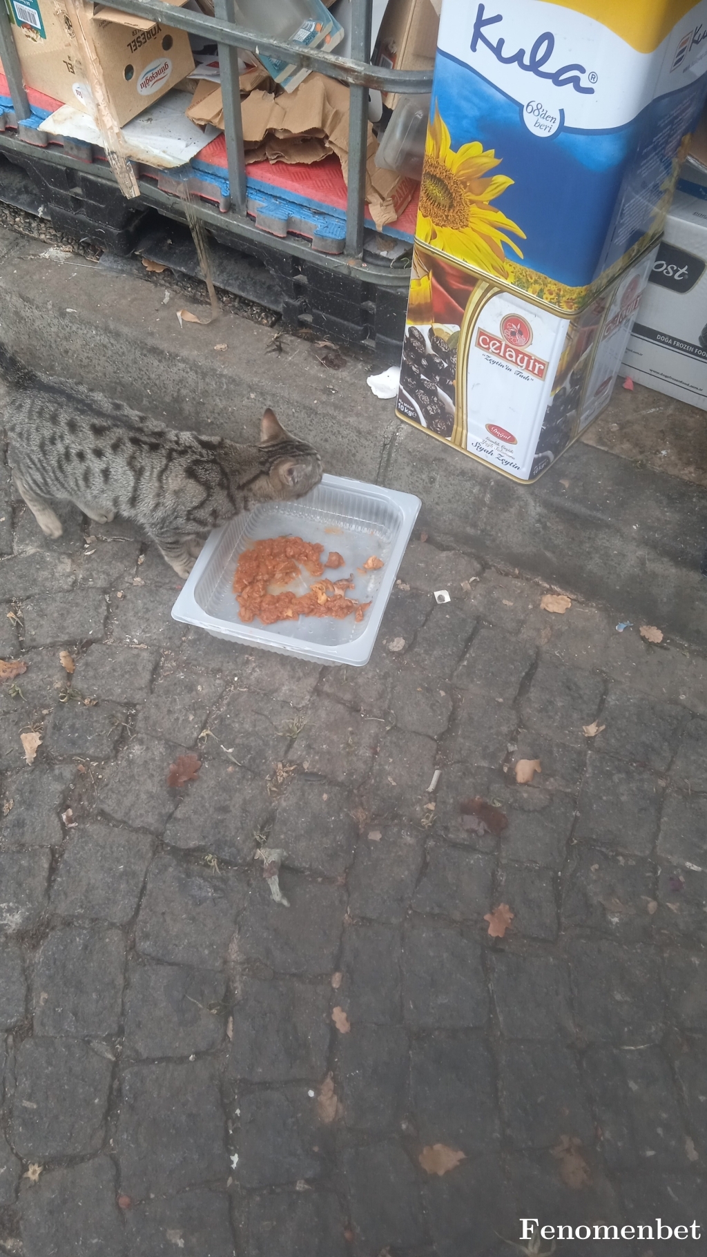Ea197676 tarafından paylaşıldı