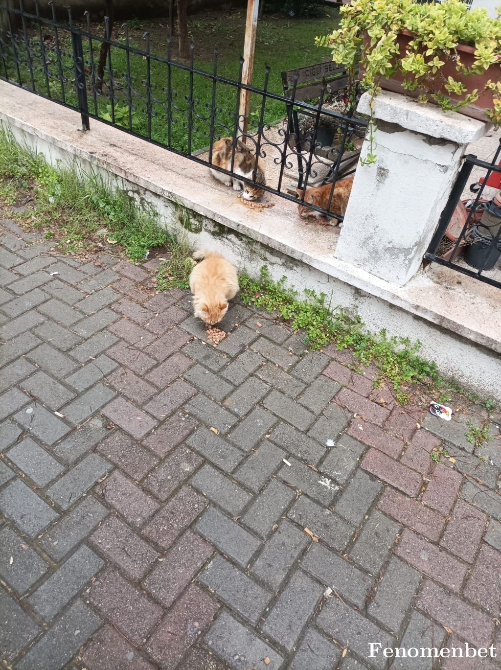 Demet8485 tarafından paylaşıldı