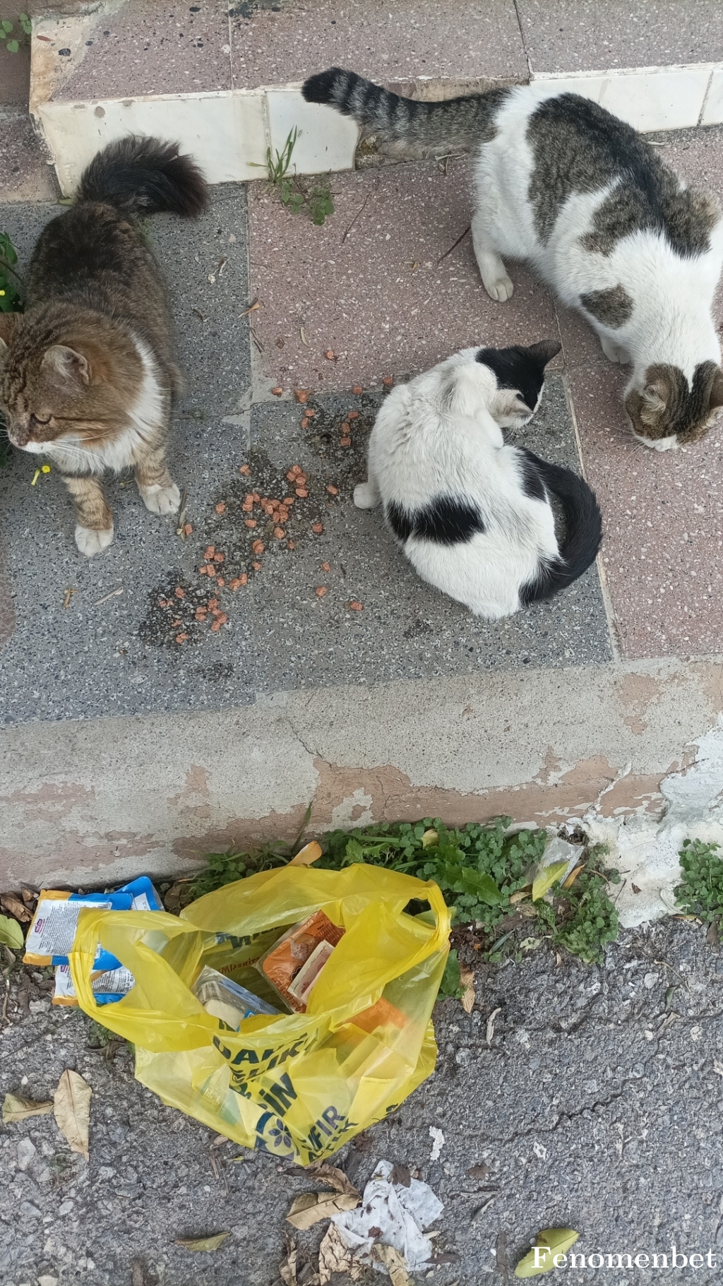 Bunnysu tarafından paylaşıldı