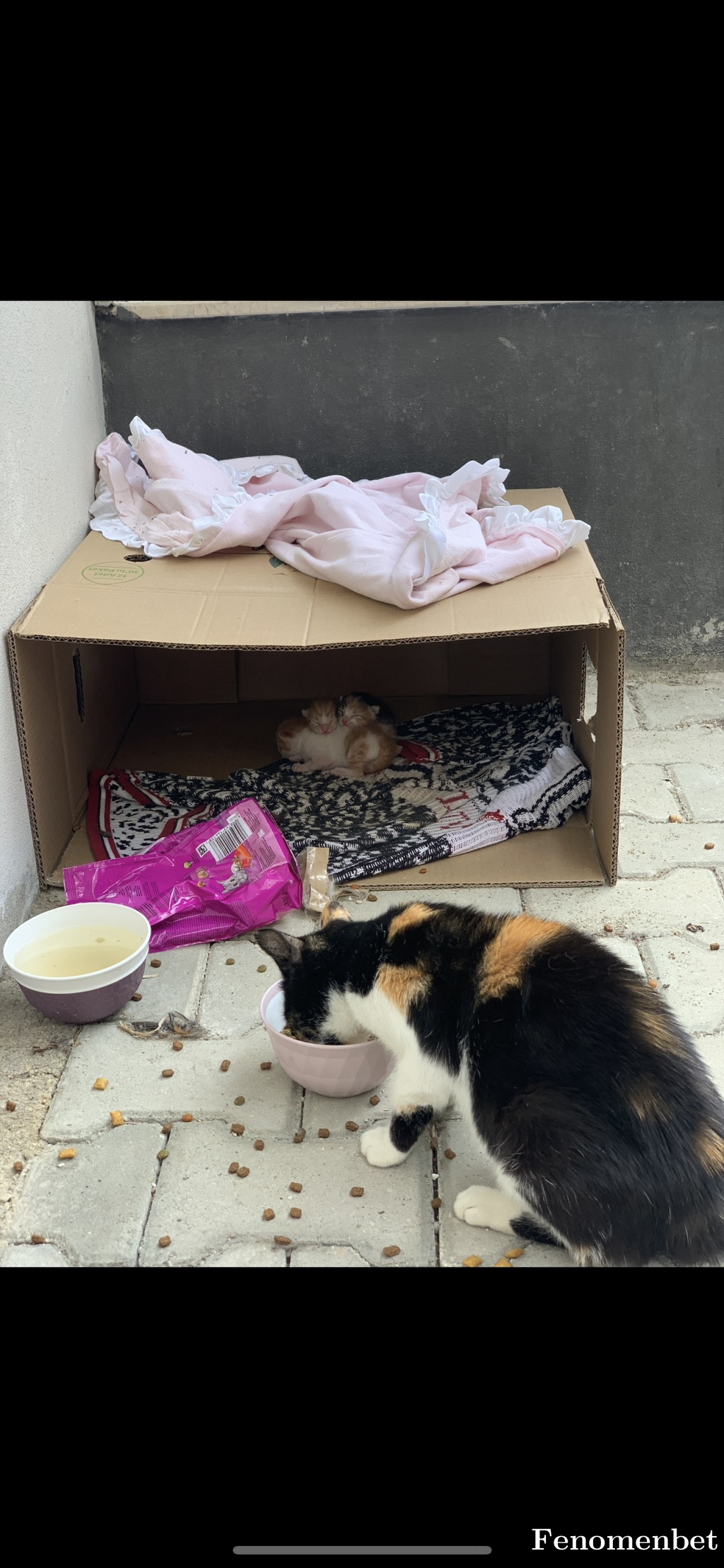 Nuris tarafından paylaşıldı