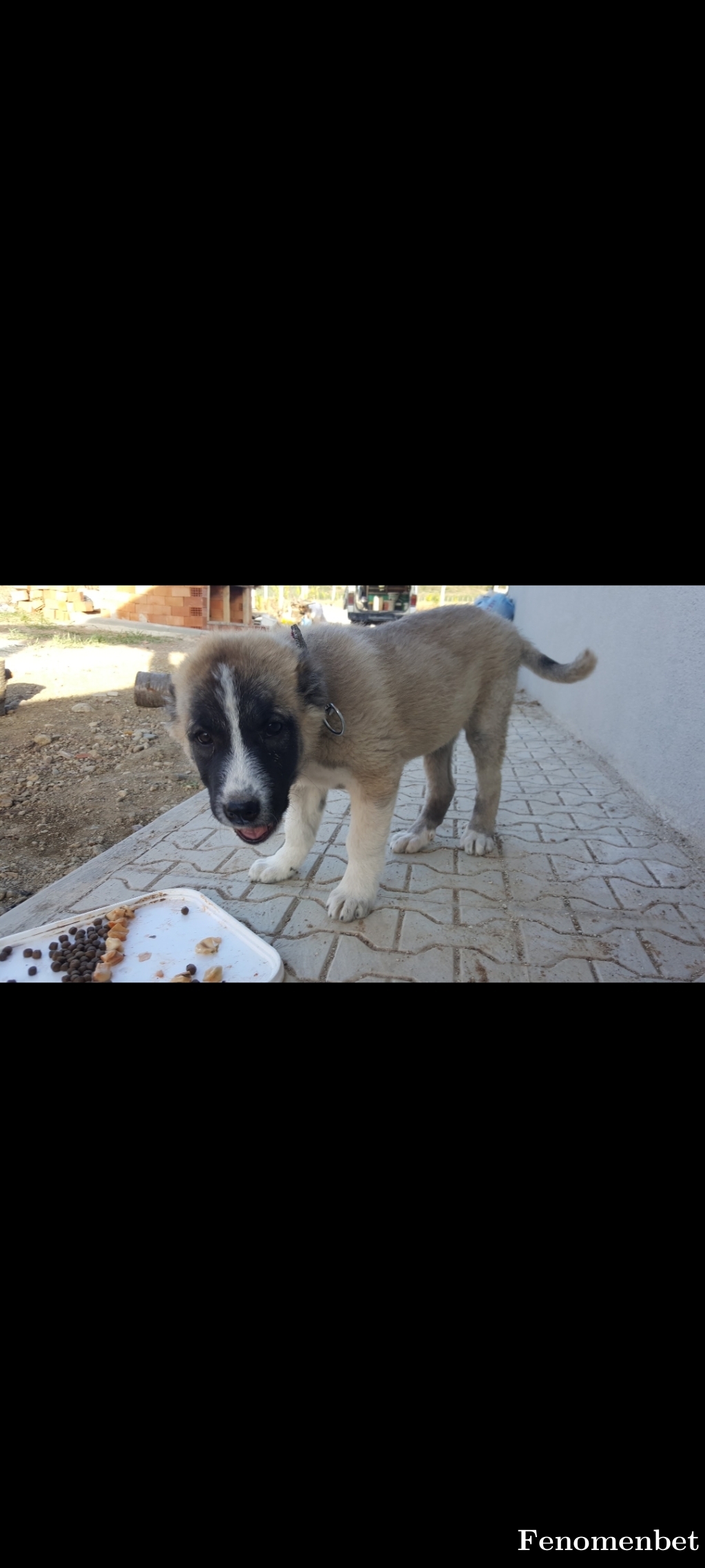 herua26 tarafından paylaşıldı