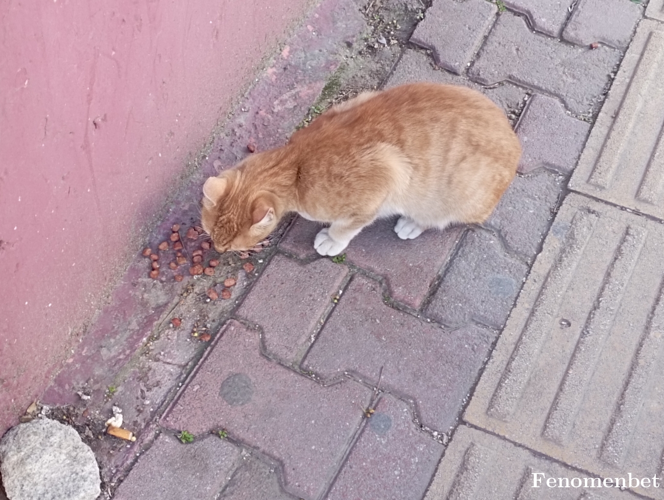 Aresss tarafından paylaşıldı