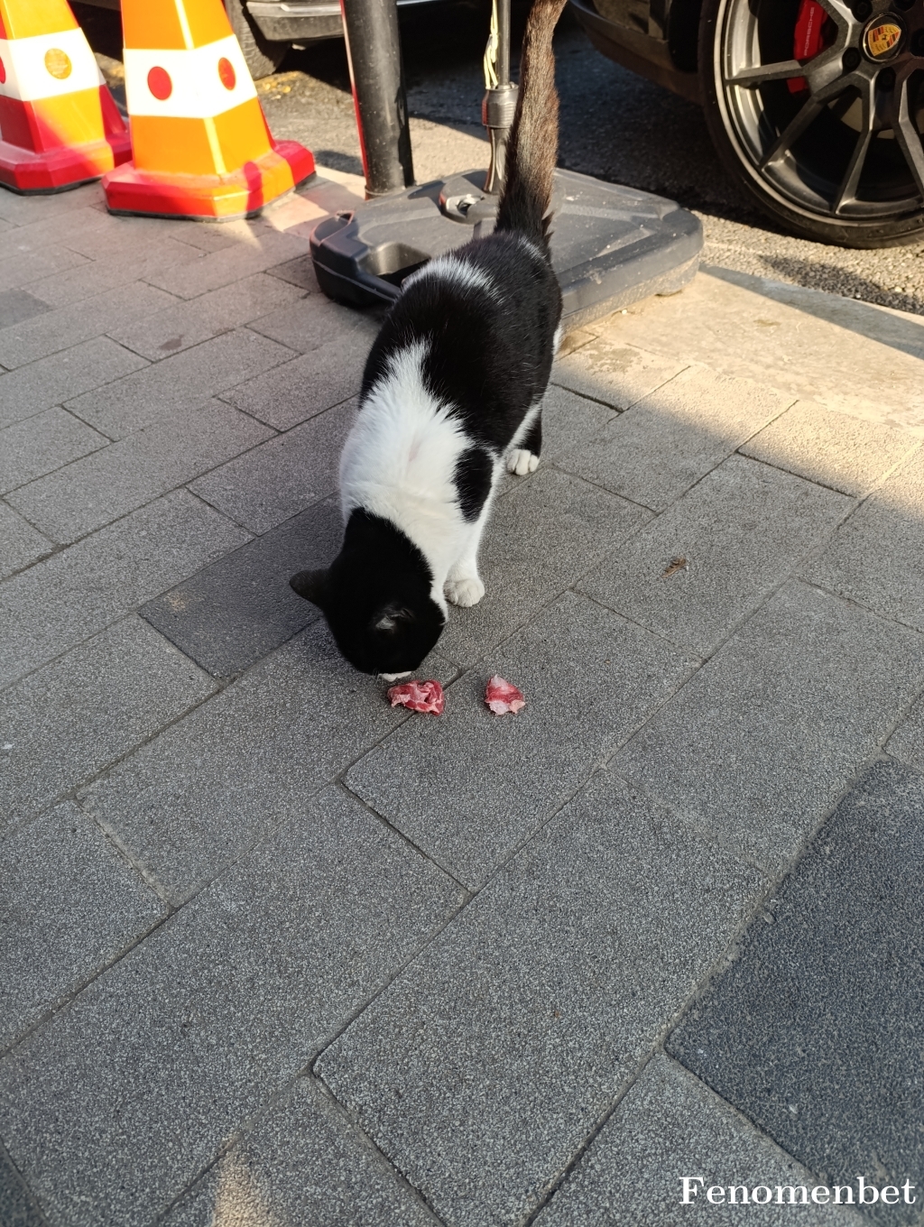 kenanekinci tarafından paylaşıldı