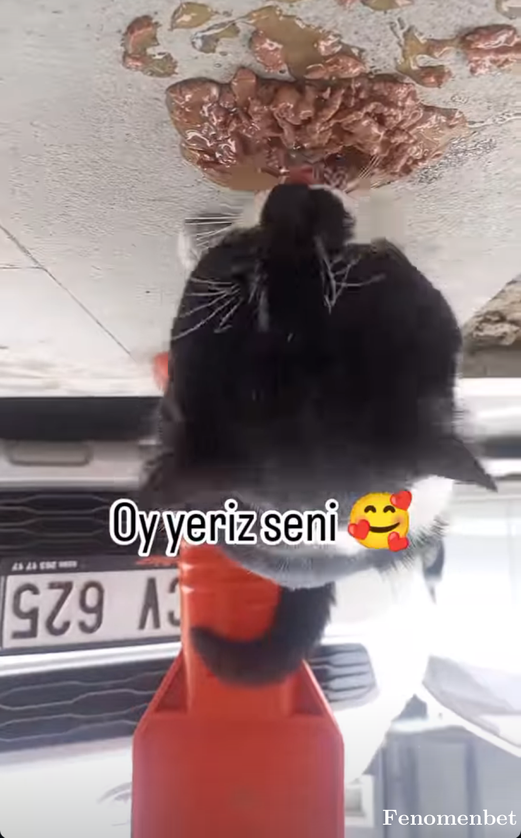 Degamze tarafından paylaşıldı