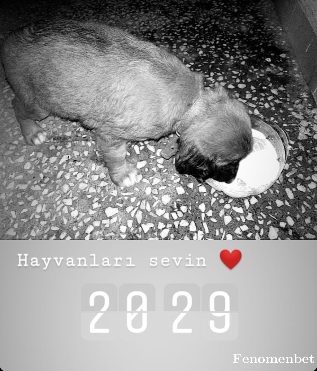 Xgamo5  tarafından paylaşıldı