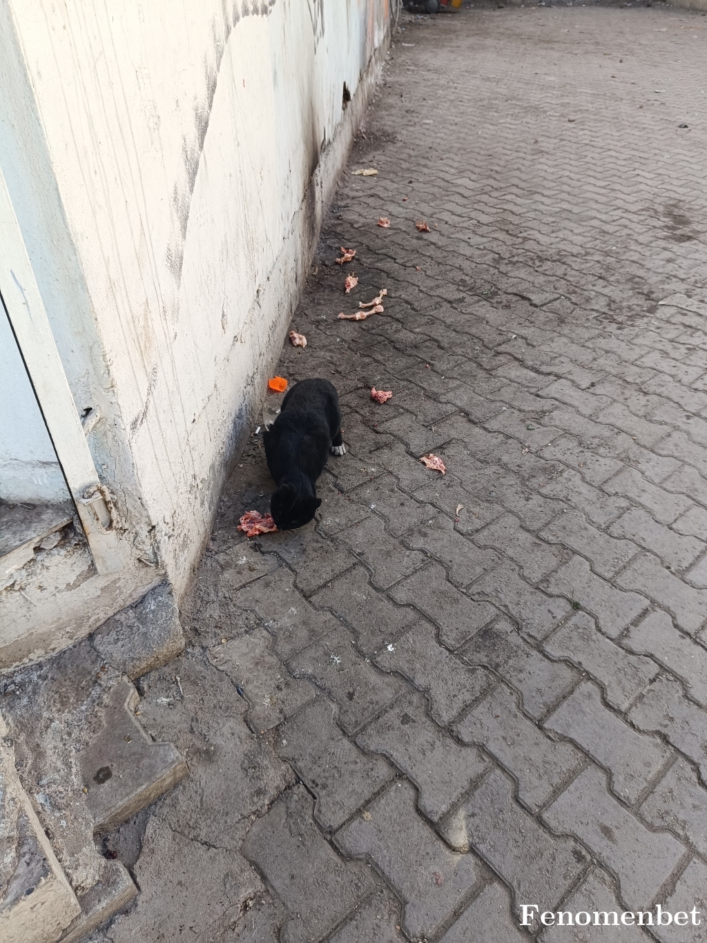 Emir3373 tarafından paylaşıldı