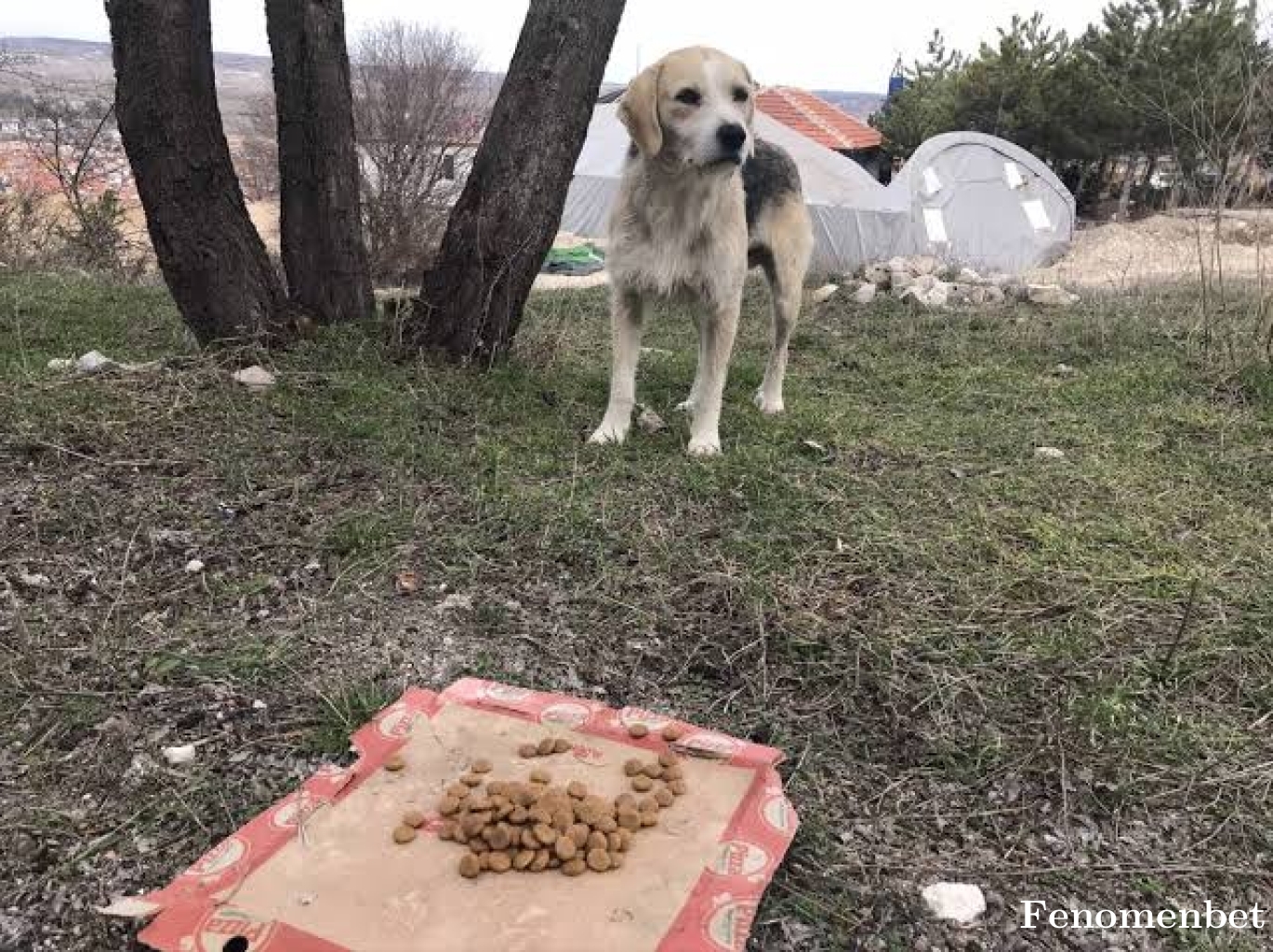 Yarasav1 tarafından paylaşıldı