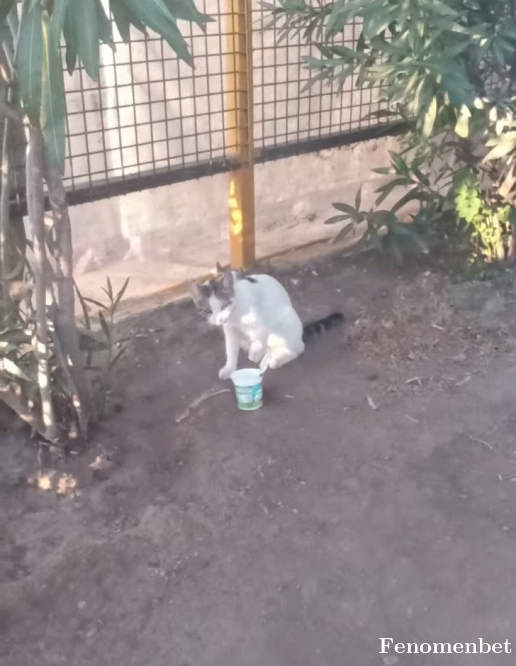 ErenAbi tarafından paylaşıldı
