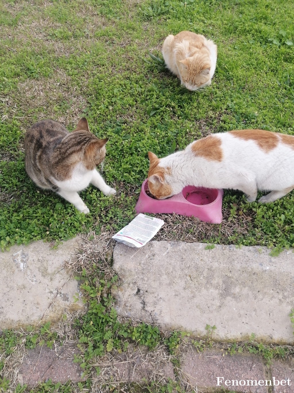 selviali tarafından paylaşıldı