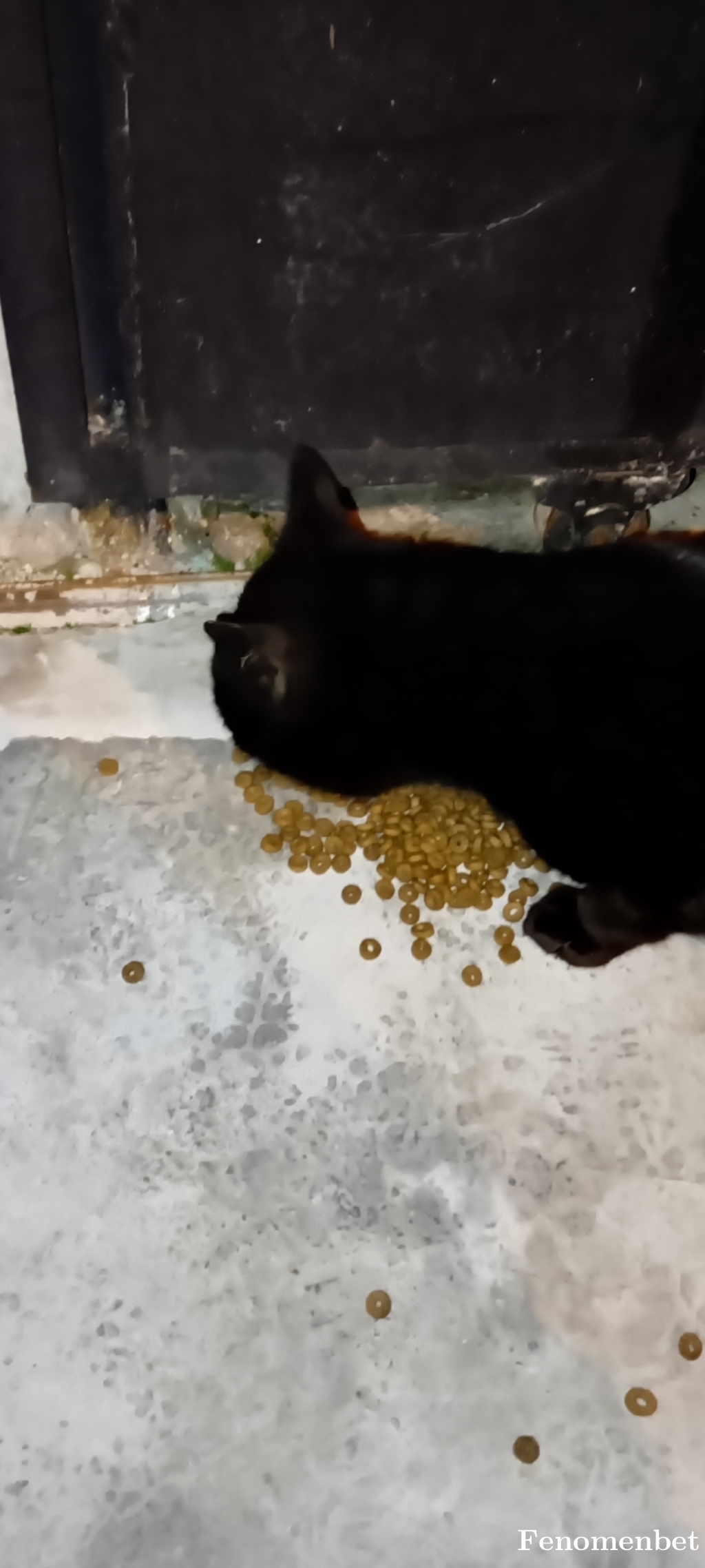 CanBahis tarafından paylaşıldı