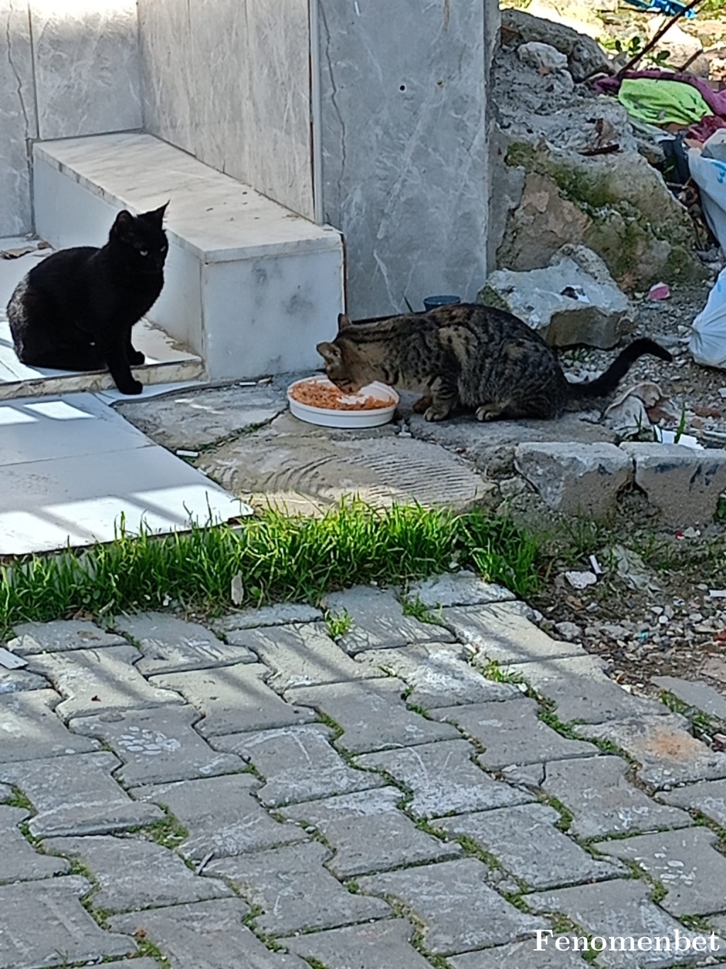 Yankielif  tarafından paylaşıldı