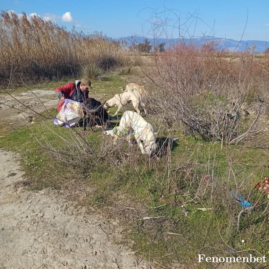 Mustafaozkn0 tarafından paylaşıldı
