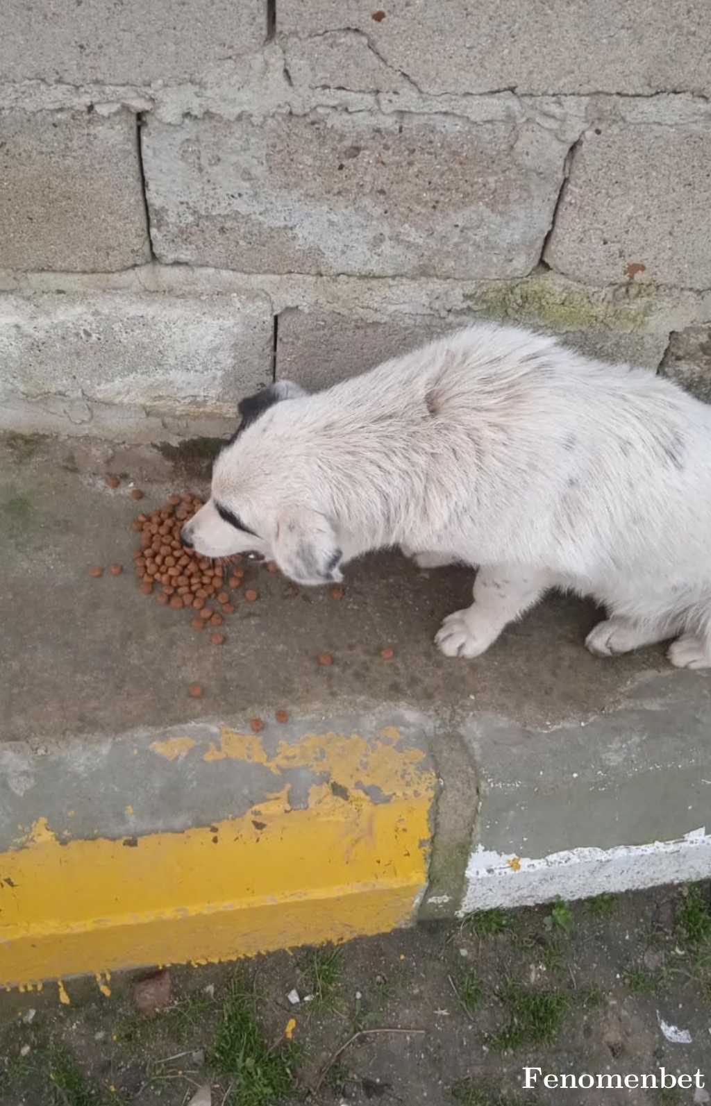 22hande22 tarafından paylaşıldı