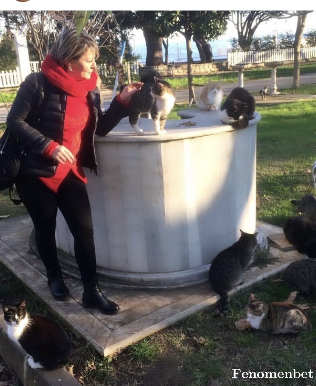 Mimoza19 tarafından paylaşıldı