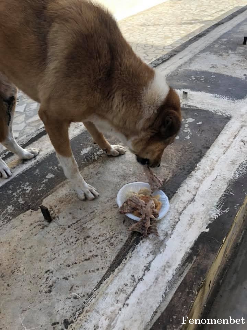 Delibahisci tarafından paylaşıldı