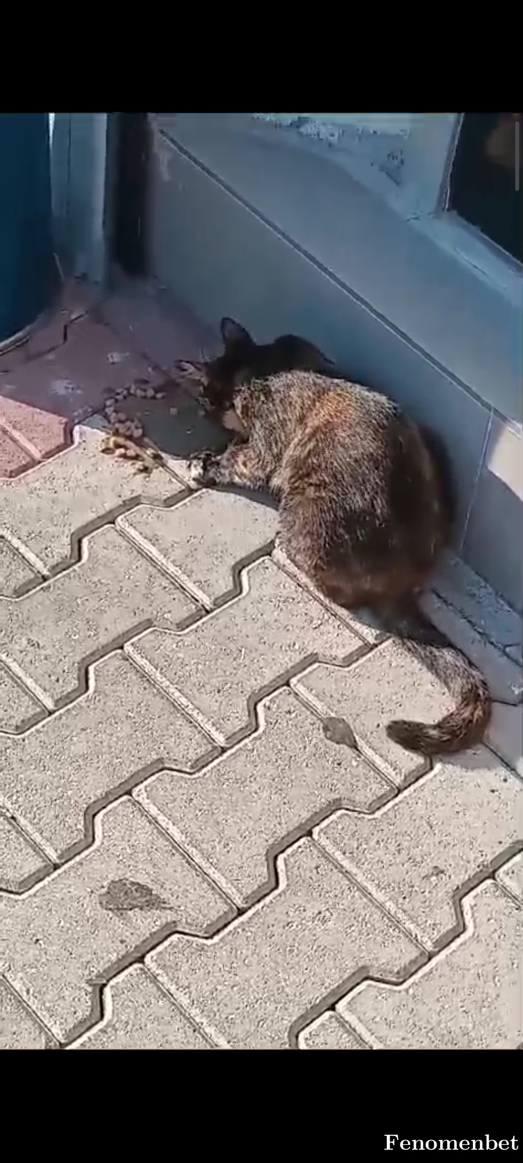 raziye101 tarafından paylaşıldı