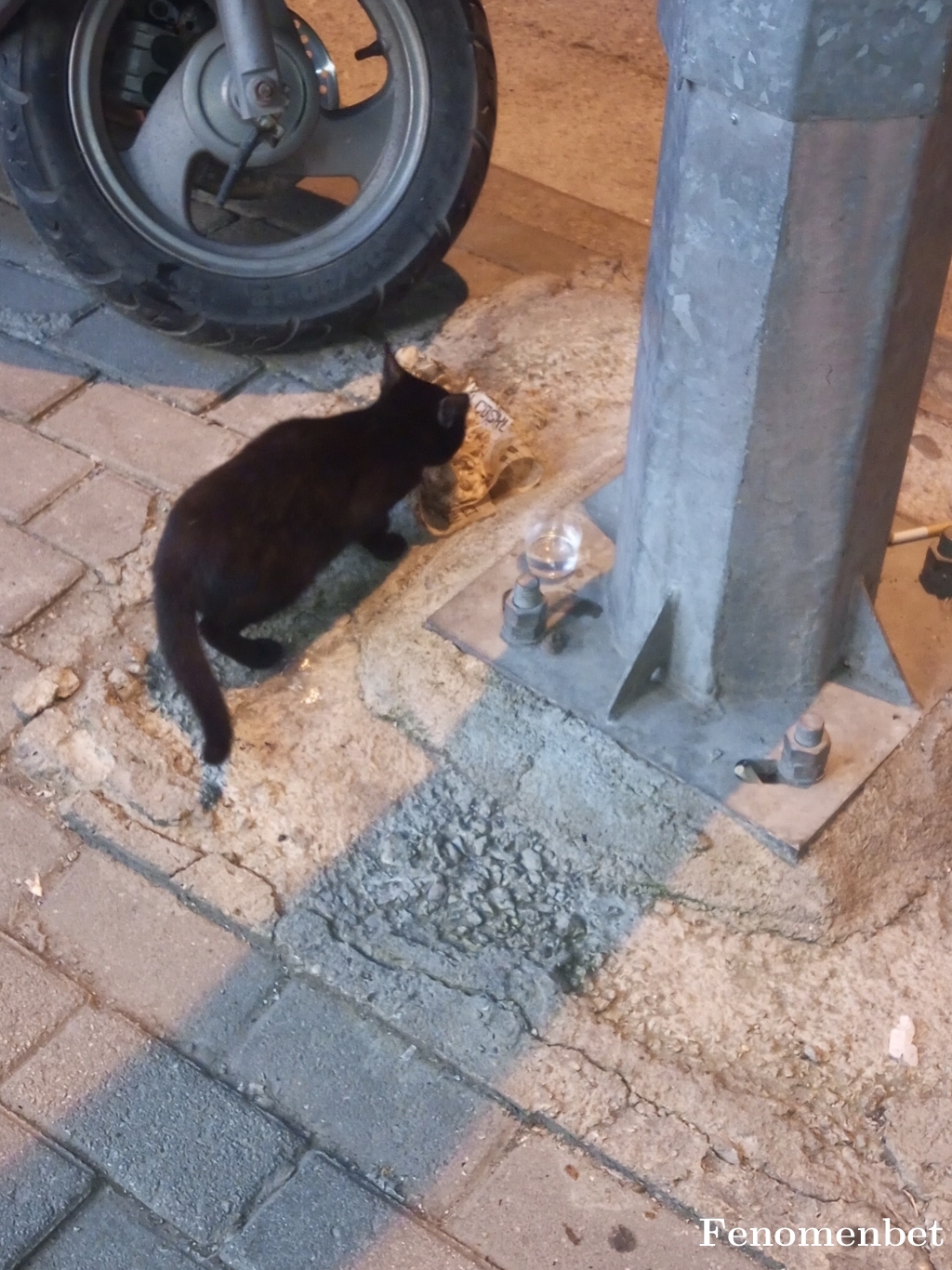 Tolax09 tarafından paylaşıldı