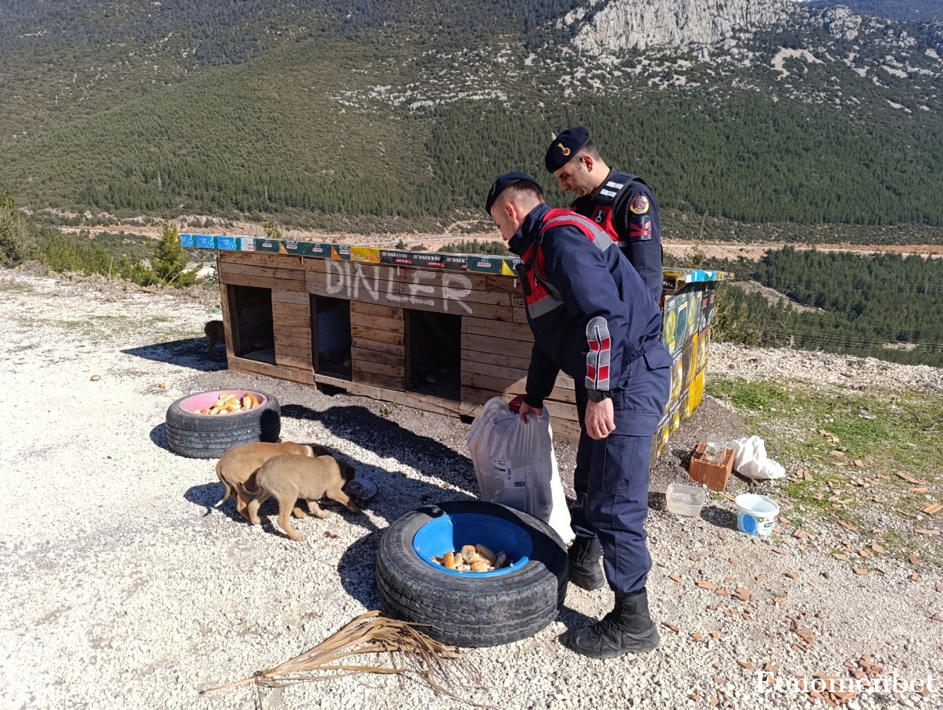 Ayvazfidan tarafından paylaşıldı