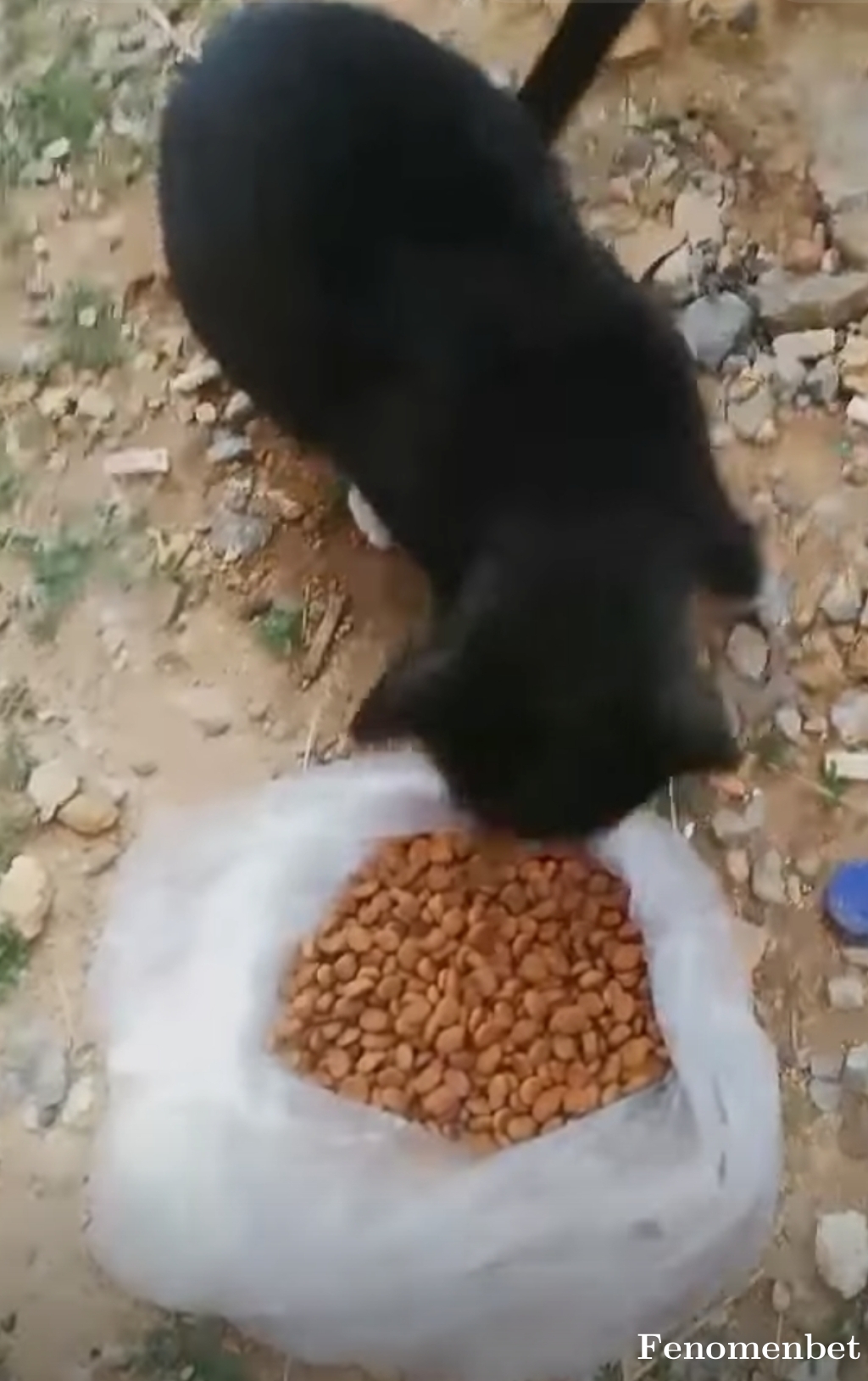 Buura tarafından paylaşıldı