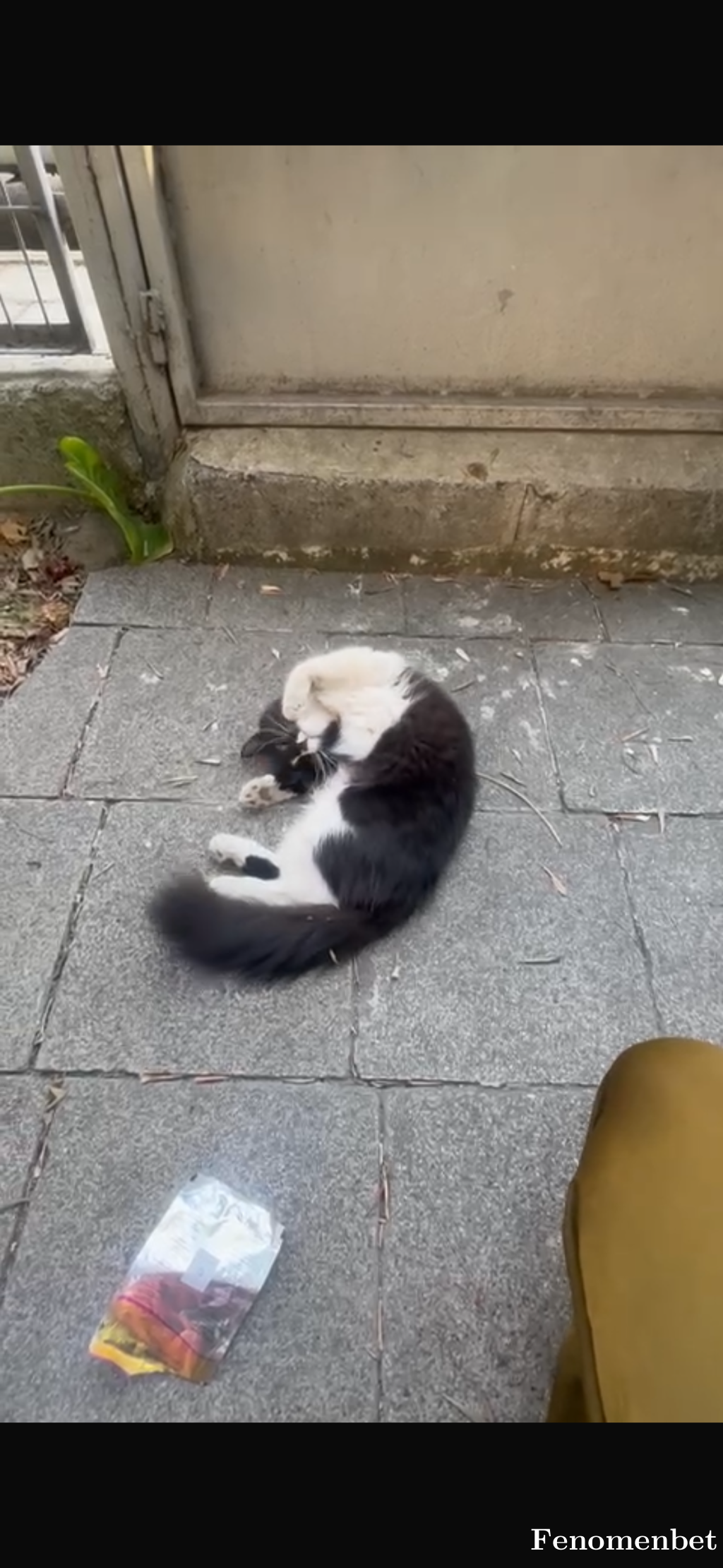 merliamy  tarafından paylaşıldı