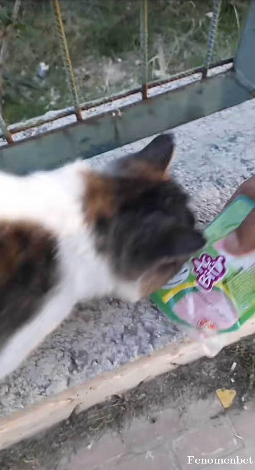 Samyeli0732 tarafından paylaşıldı