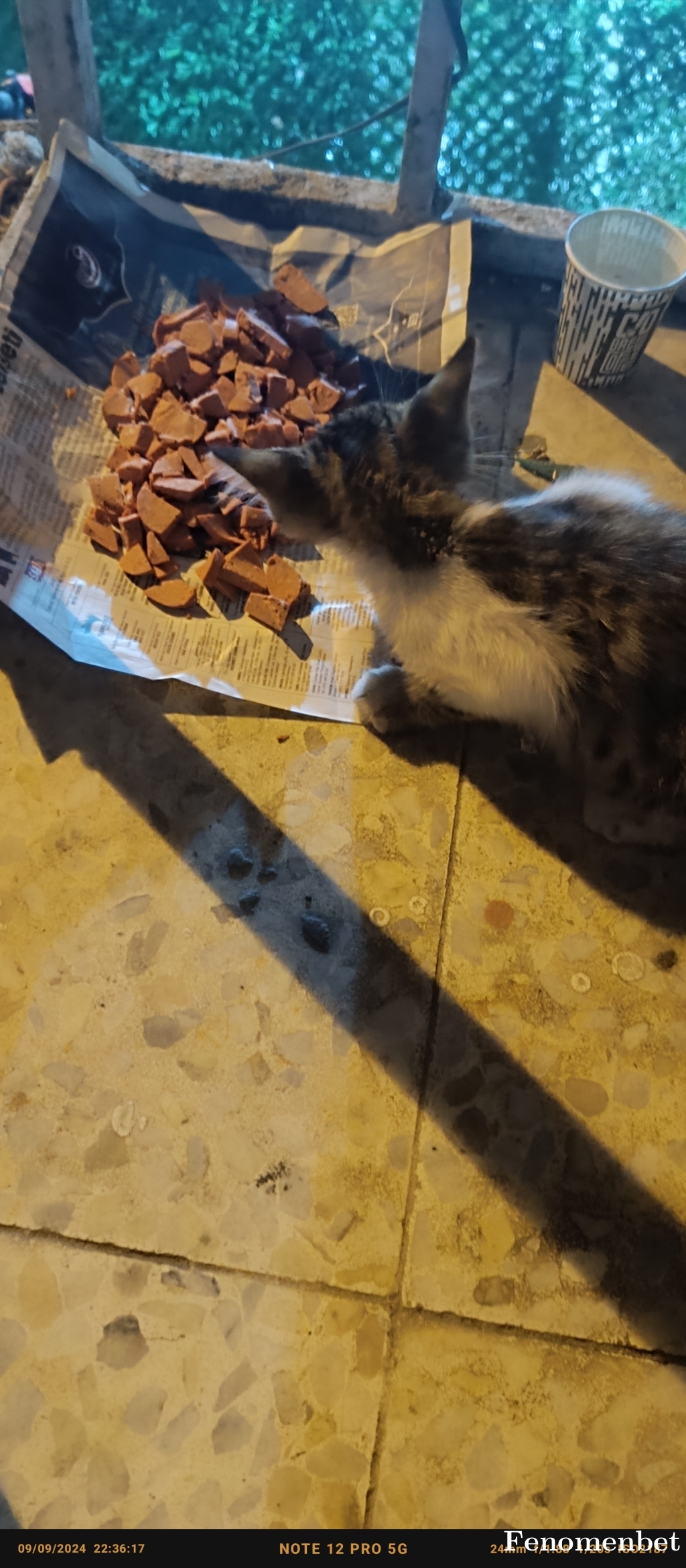 Plt123 tarafından paylaşıldı