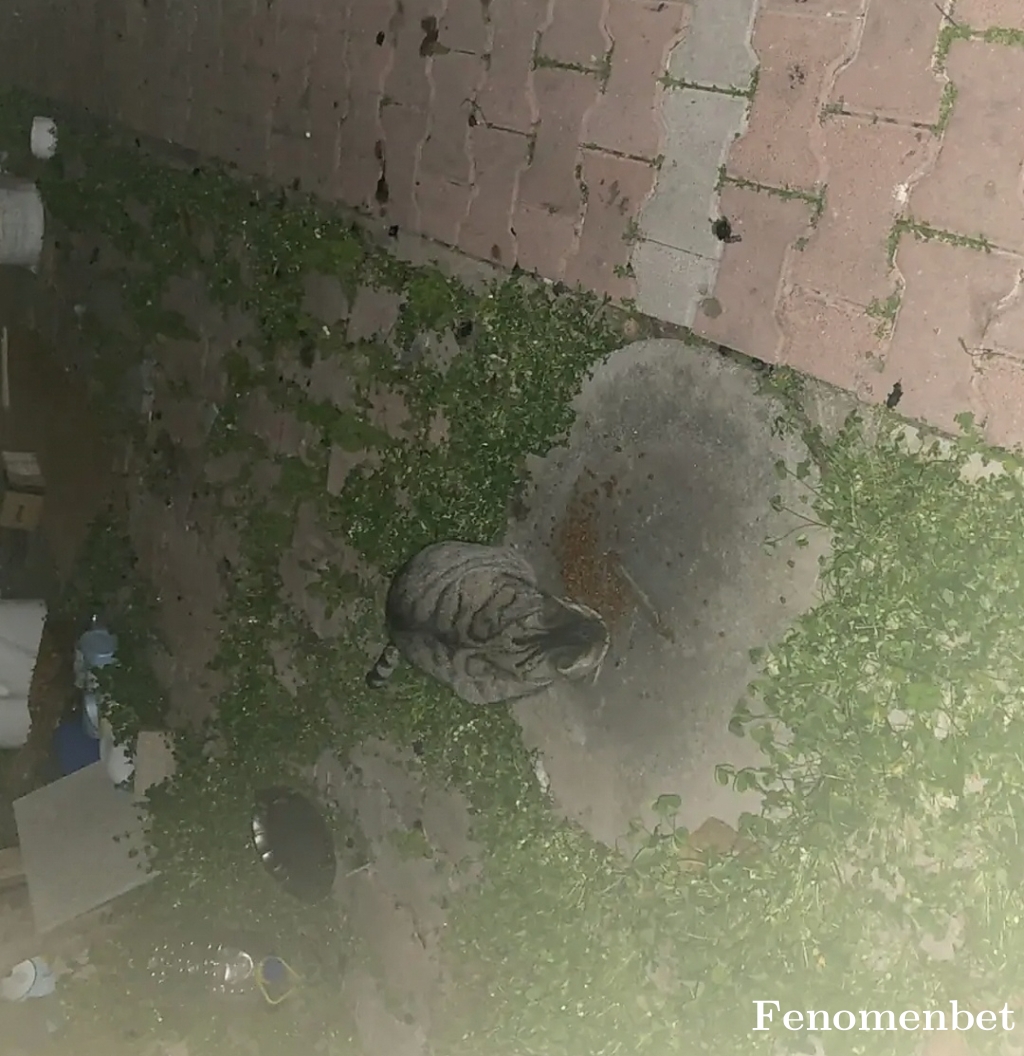 Tezcanuysll tarafından paylaşıldı