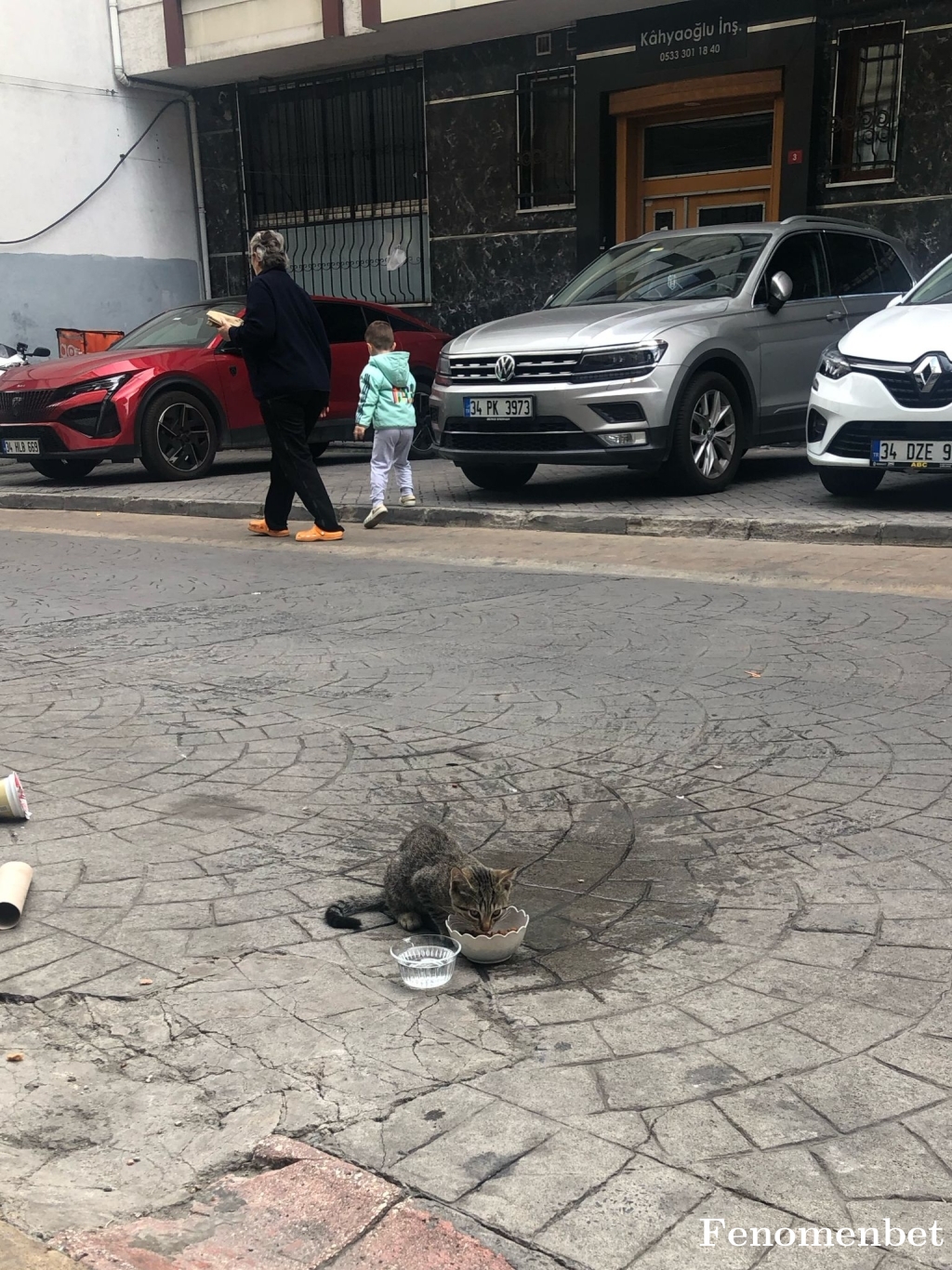xfokku tarafından paylaşıldı