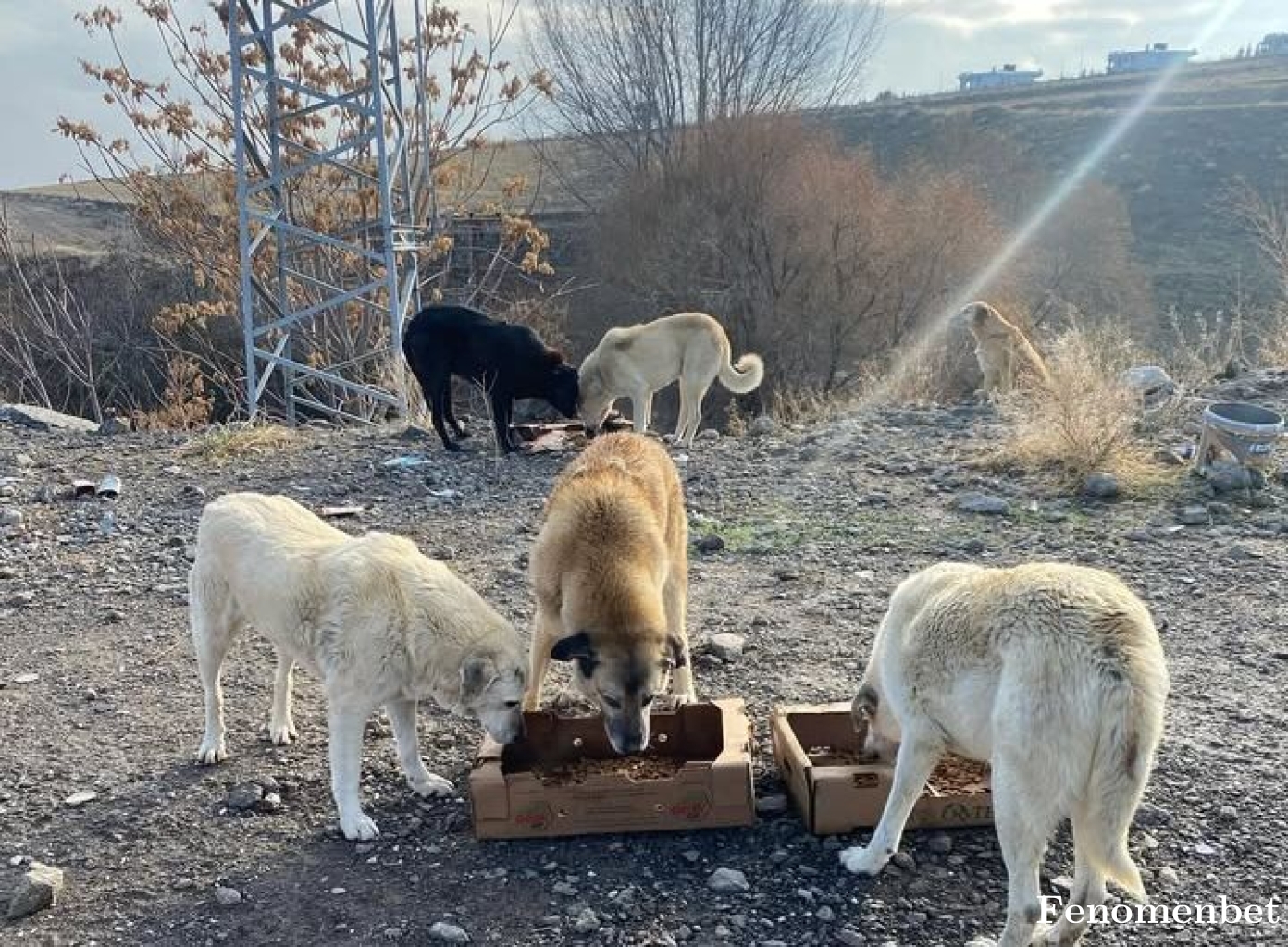 Alihan3838 tarafından paylaşıldı