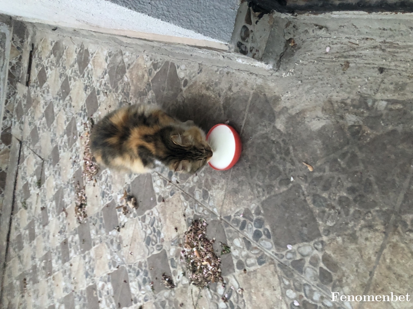 Sonners tarafından paylaşıldı