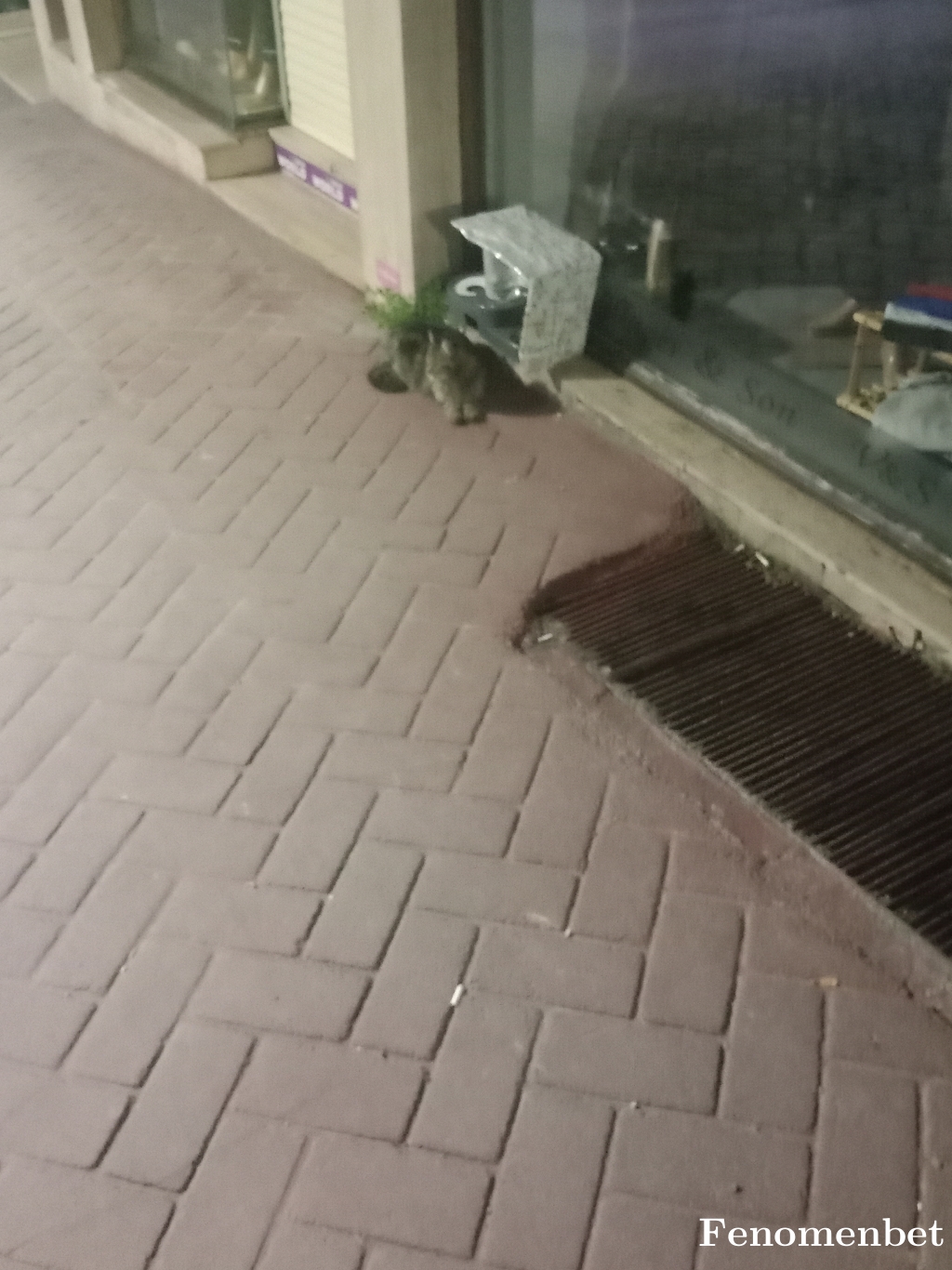 kenanatik06  tarafından paylaşıldı