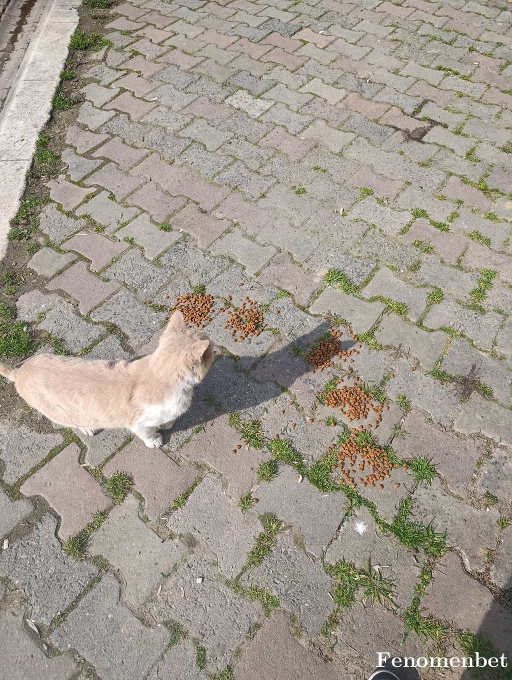dogukan63 tarafından paylaşıldı