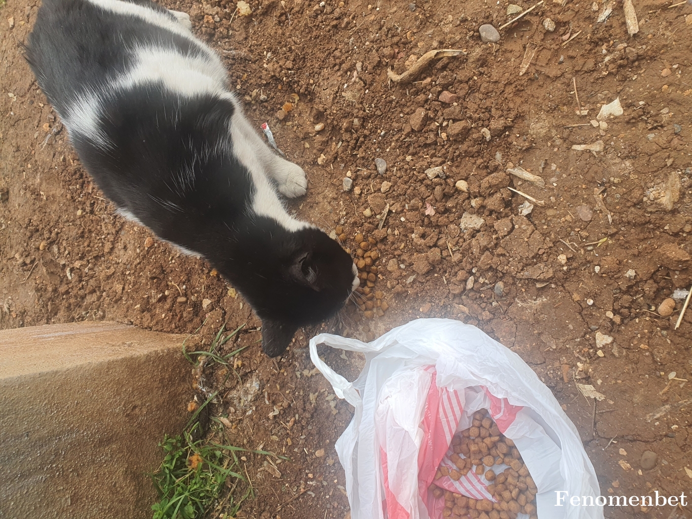 Zeychan  tarafından paylaşıldı