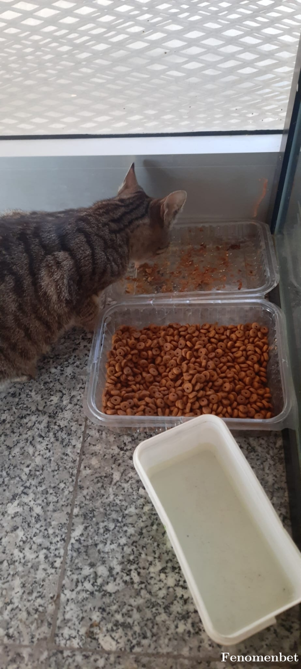 bydarknes tarafından paylaşıldı