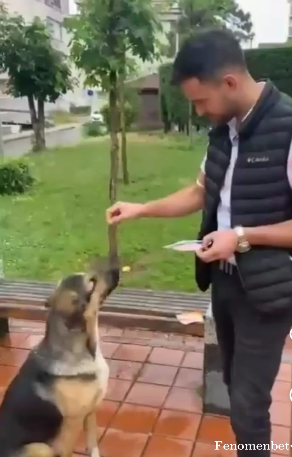 Cannik tarafından paylaşıldı