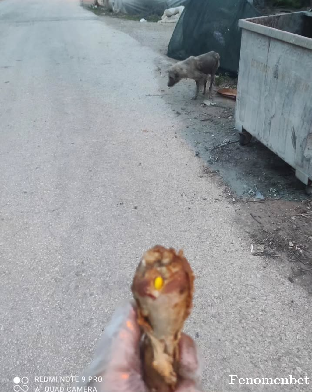 Jogabonita87 tarafından paylaşıldı