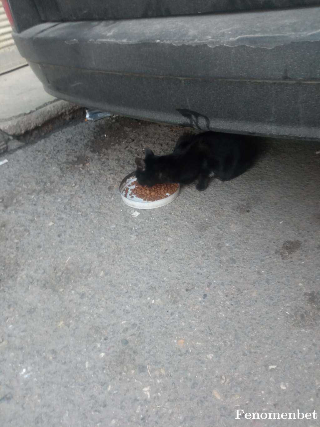 Sarica2727 tarafından paylaşıldı